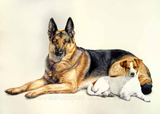 Tableau berger Allemand et Jack Russell